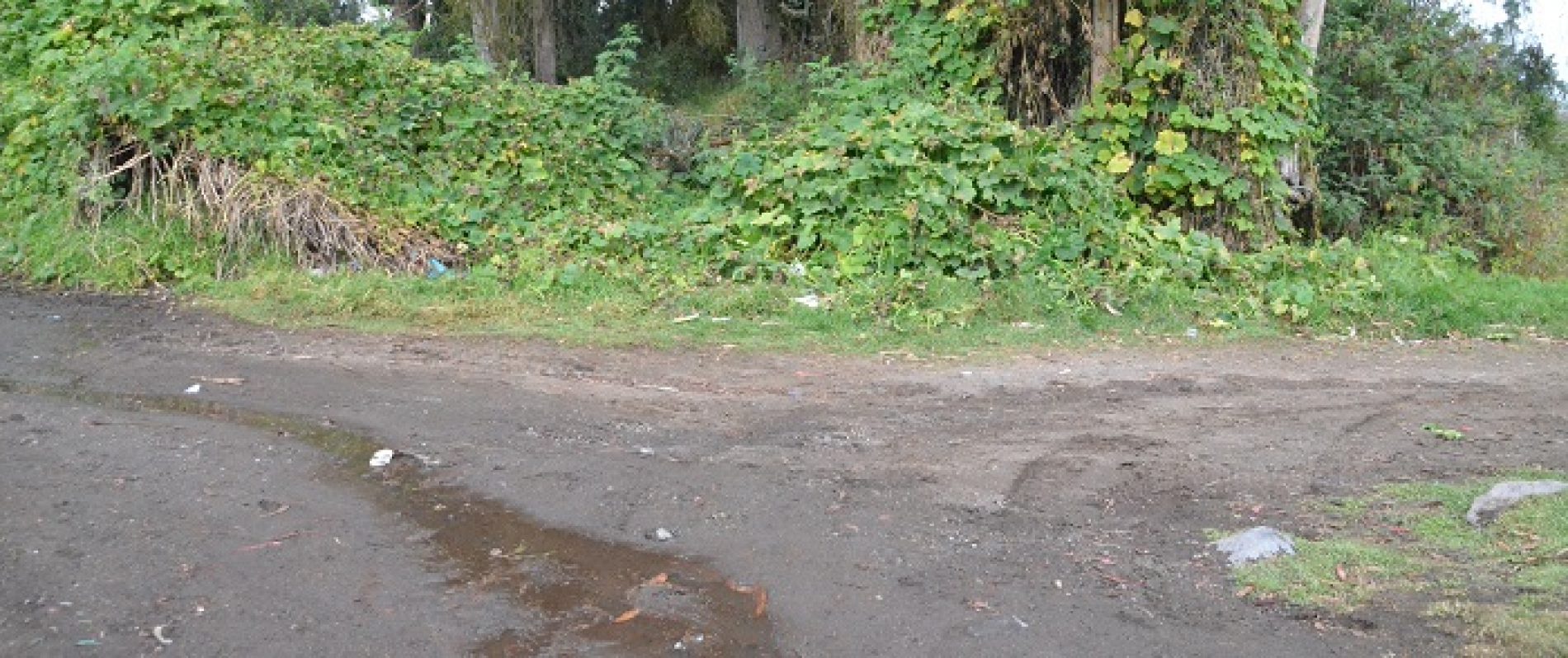 TRABAJOS DE ALCANTARILLADO COMPLETA GAD PARROQUIAL DE MULALÓ (VIDEO)