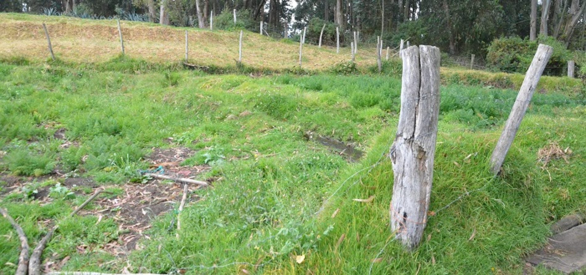 TRABAJOS DE ALCANTARILLADO COMPLETA GAD PARROQUIAL DE MULALÓ (VIDEO)