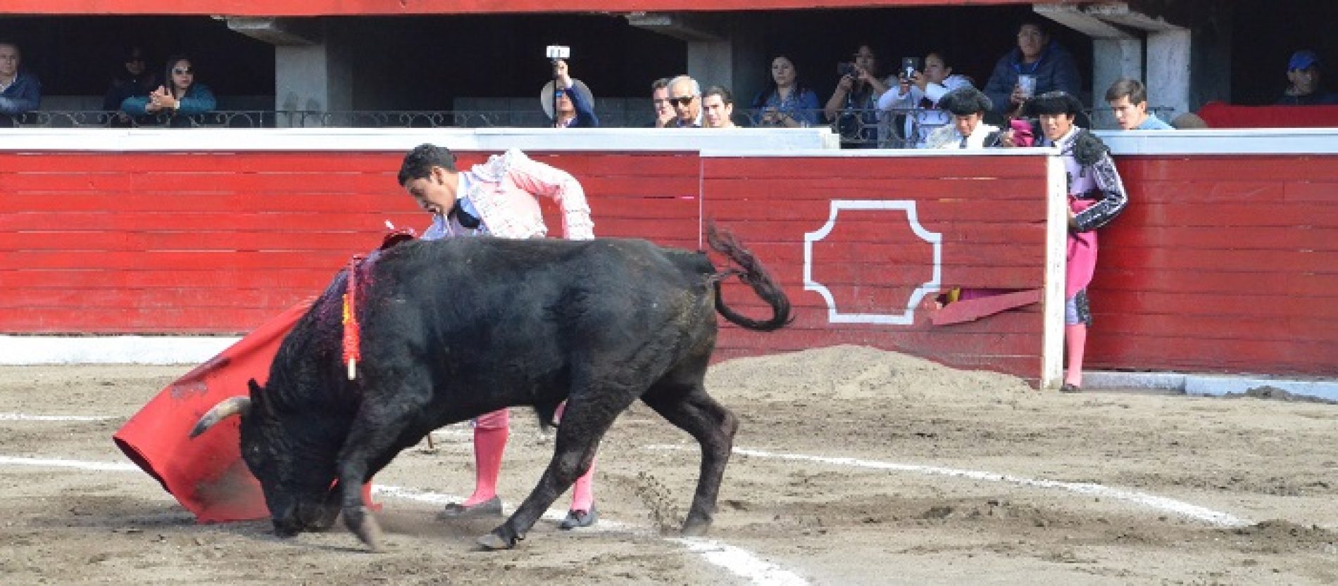 TOREROS NACIONALES ACTUARÁN EN PRÓXIMA FERIA DE LATACUNGA EL 2 DE DICIEMBRE.