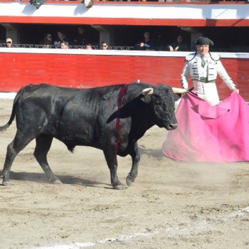 TOREROS NACIONALES ACTUARÁN EN PRÓXIMA FERIA DE LATACUNGA EL 2 DE DICIEMBRE.