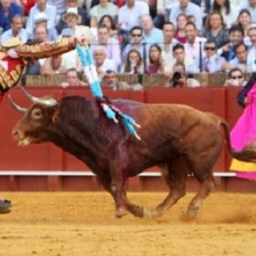 JUAN JOSÉ PADILLA HÉROE O MÁRTIR DE LA FIESTA BRAVA