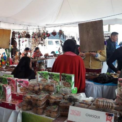 FERIA NOSOTROS EMPRENDEMOS CONVOCÓ A MÁS DE 100 EMPRENDEDORES EN COTOPAXI 
