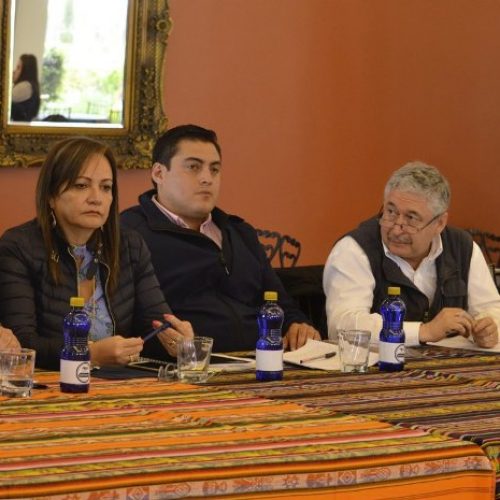 ACCIONES PARA SOLUCIONAR PROBLEMAS DEL SECTOR LECHERO