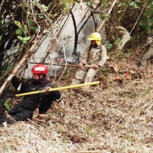 GUARDAPARQUES Y BOMBEROS TRABAJAN PARA COMBATIR INCENDIOS FORESTALES EN LA RESERVA ECOLÓGICA LOS ILINIZAS