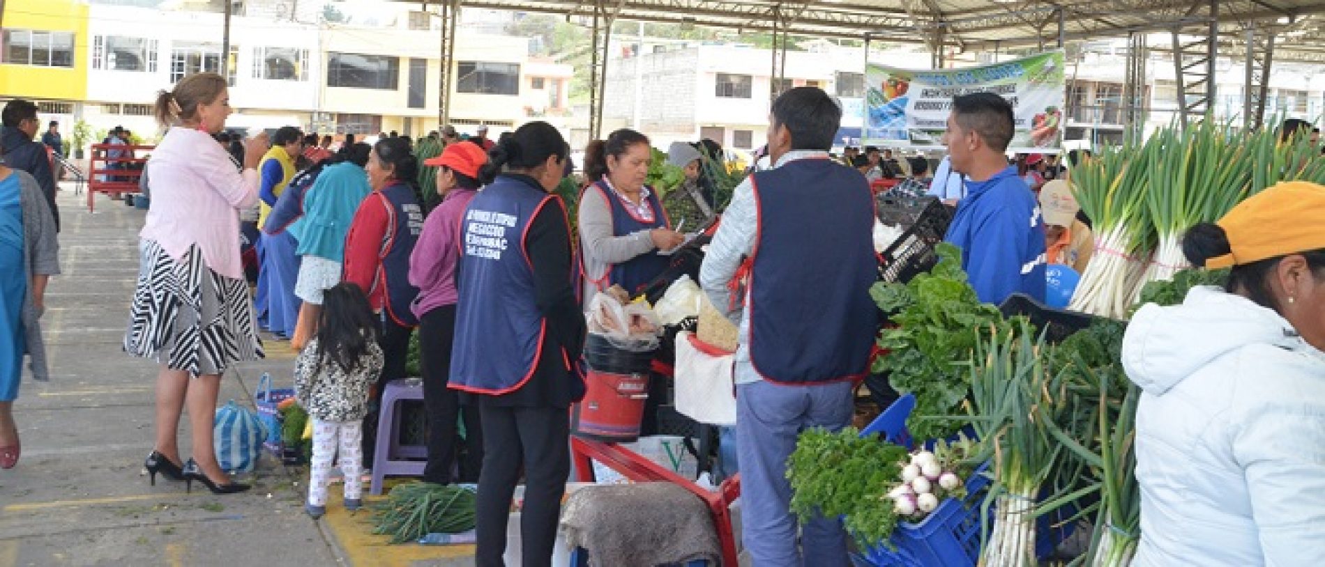 PREFECTURA DE COTOPAXI CELEBRÓ  UN AÑO DE LA FERIA “DE LA MATA A LA OLLA” (VIDEO)