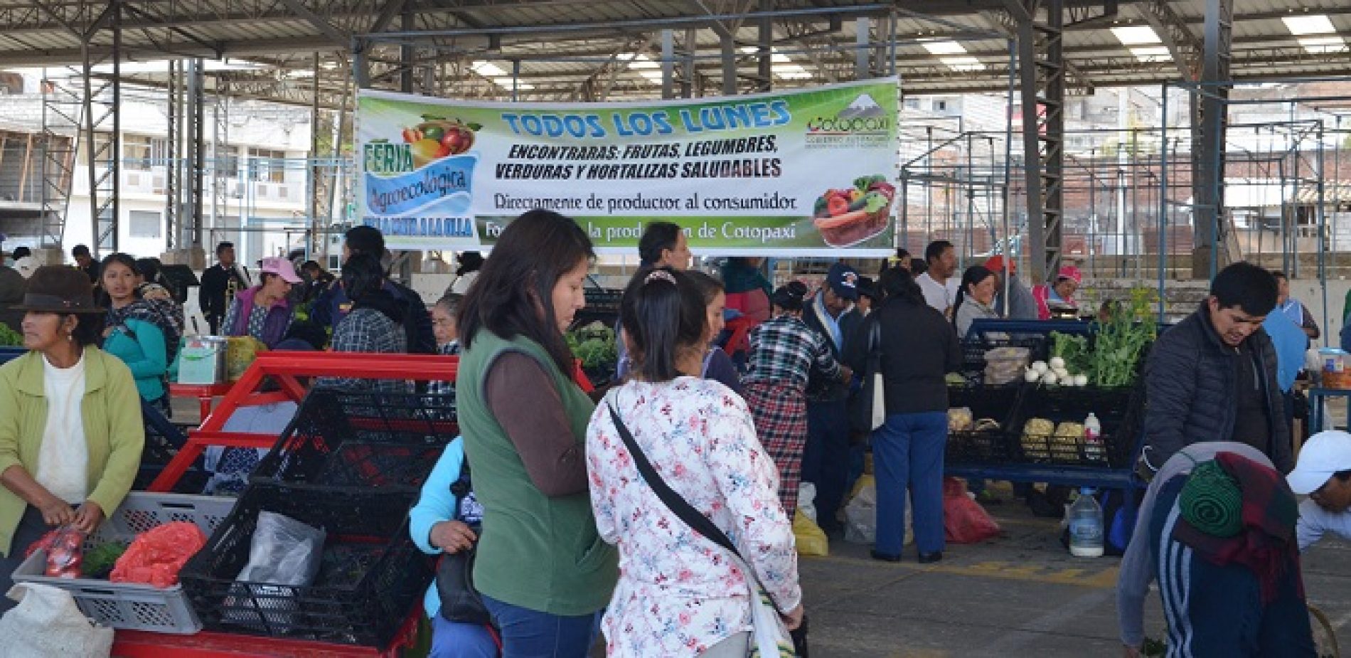 PREFECTURA DE COTOPAXI CELEBRÓ  UN AÑO DE LA FERIA “DE LA MATA A LA OLLA” (VIDEO)
