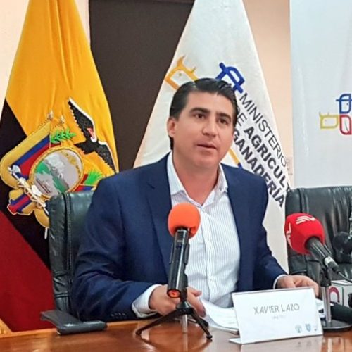ARROZ ECUATORIANO SERÁ EXPORTADO A COLOMBIA, DESDE EL 15 DE NOVIEMBRE