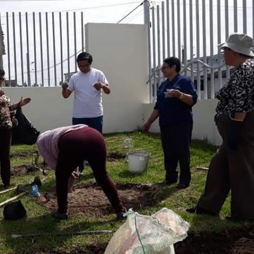 COMITÉ CIUDADANO DE SALUD DE LATACUNGA IMPLEMENTA HUERTOS SALUDABLES