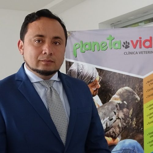 CADÁVER DE CÓNDOR ANDINO FUE ENCONTRADO EN TERMAS DE ALUCHÁN CANTÓN SALCEDO PROVINCIA DE COTOPAXI. (VIDEO)
