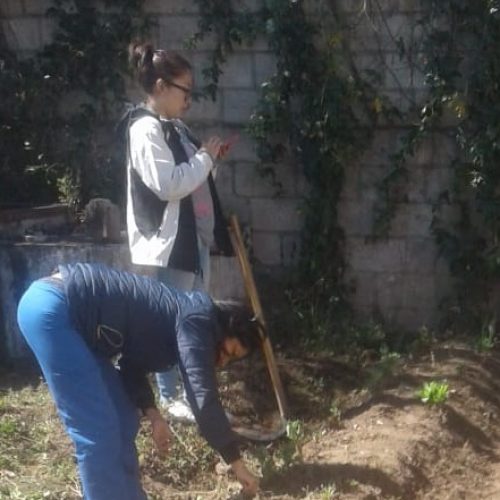 COMITÉ LOCAL DE SALUD DE GUASAGANDA APOYA EN LA IMPLEMENTACIÓN DE HUERTO SALUDABLE