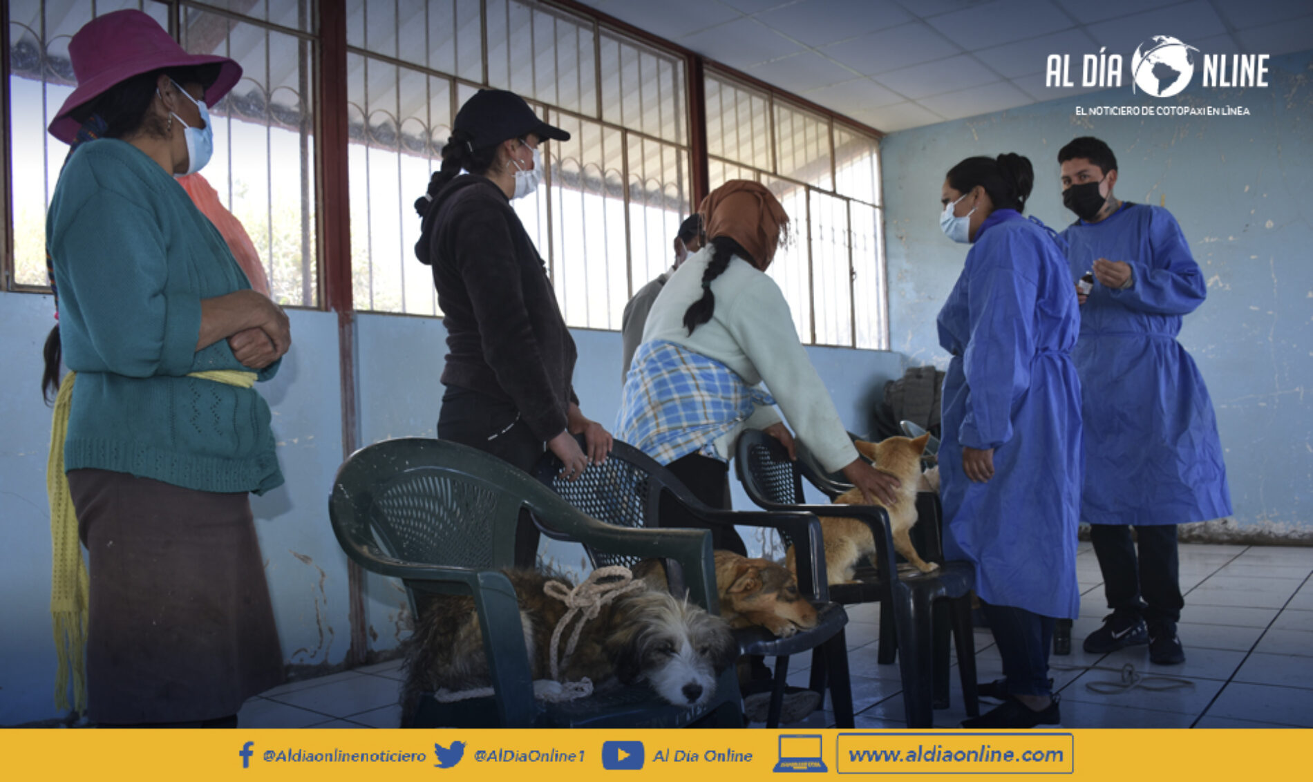 CAMPAÑA MUNICIPAL DE SALCEDO DE ESTERILIZACIÓN GRATUITA LLEGA A CUSUBAMBA
