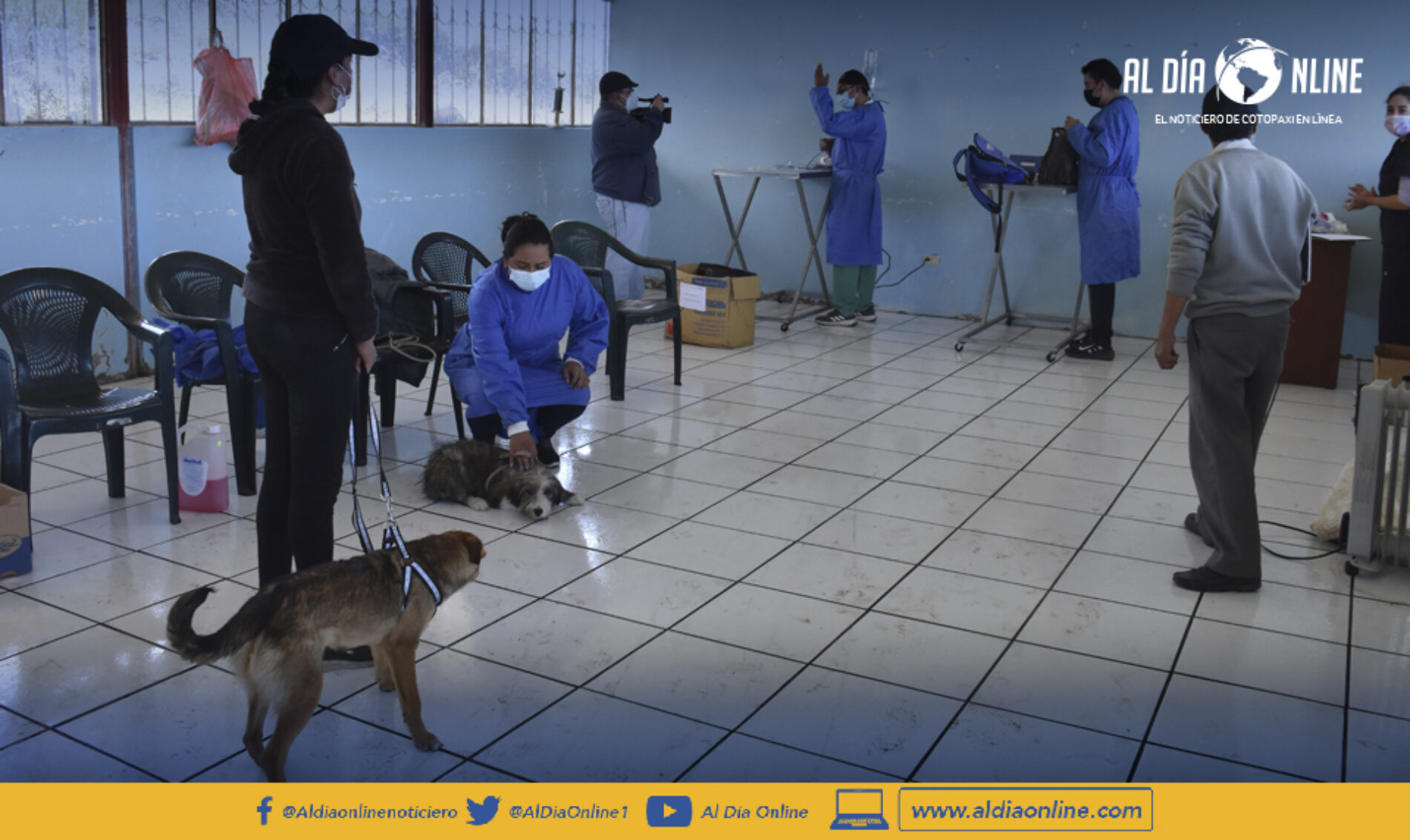 CAMPAÑA MUNICIPAL DE SALCEDO DE ESTERILIZACIÓN GRATUITA LLEGA A CUSUBAMBA