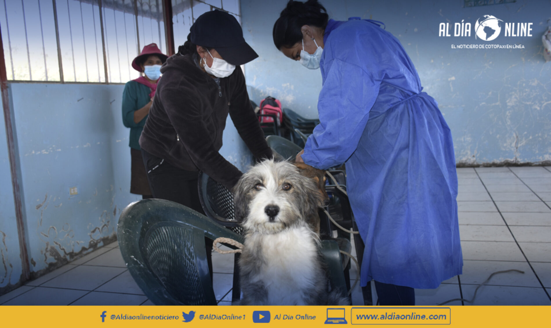 CAMPAÑA MUNICIPAL DE SALCEDO DE ESTERILIZACIÓN GRATUITA LLEGA A CUSUBAMBA