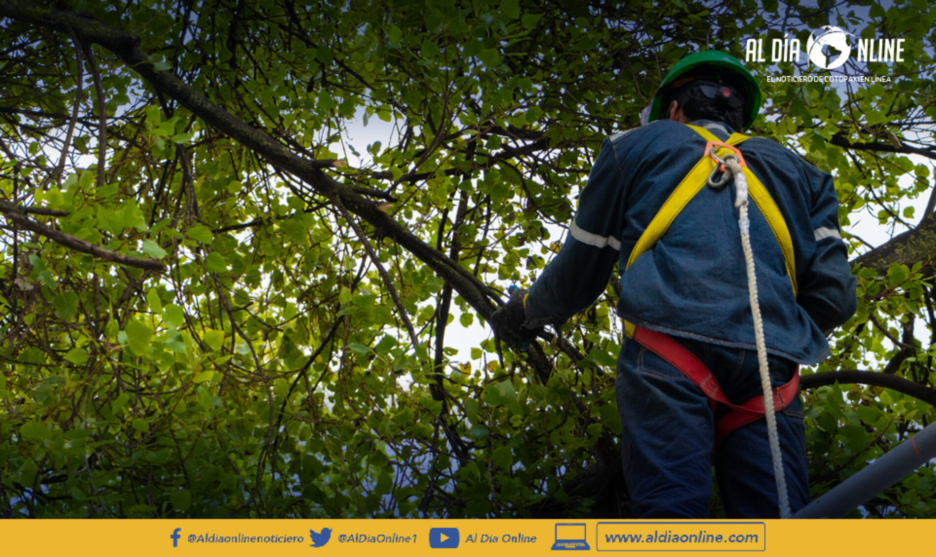 MUNICIPIO DE LATACUNGA EJECUTA PLAN DE PODA DE ÁRBOLES Y PALMERAS.(VIDEO)