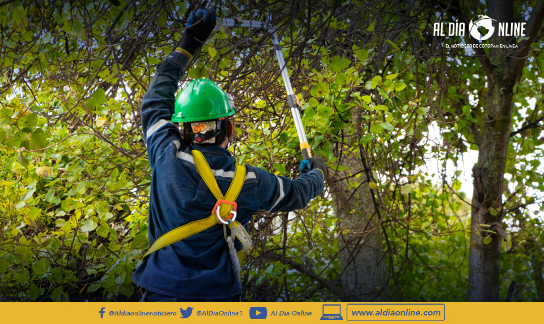 MUNICIPIO DE LATACUNGA EJECUTA PLAN DE PODA DE ÁRBOLES Y PALMERAS.(VIDEO)