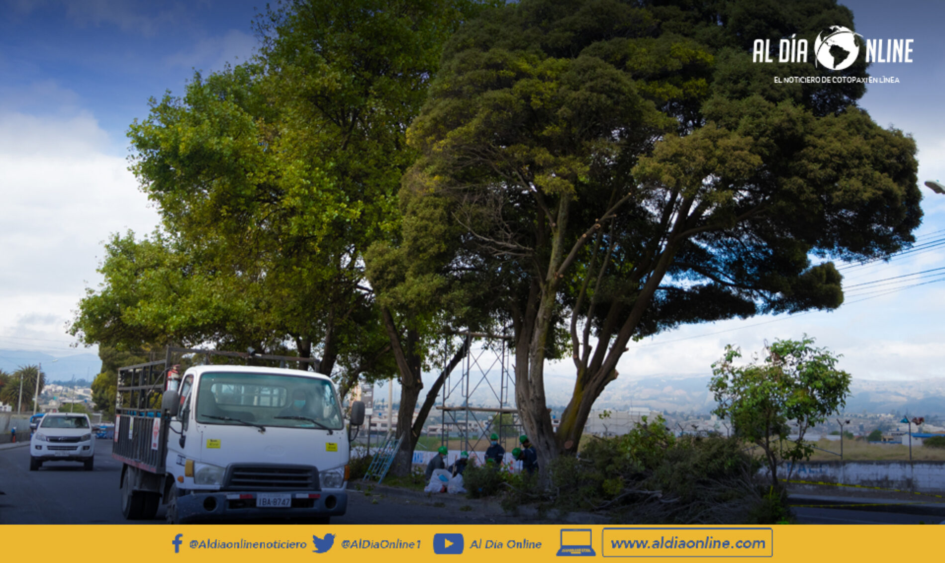 MUNICIPIO DE LATACUNGA EJECUTA PLAN DE PODA DE ÁRBOLES Y PALMERAS.(VIDEO)