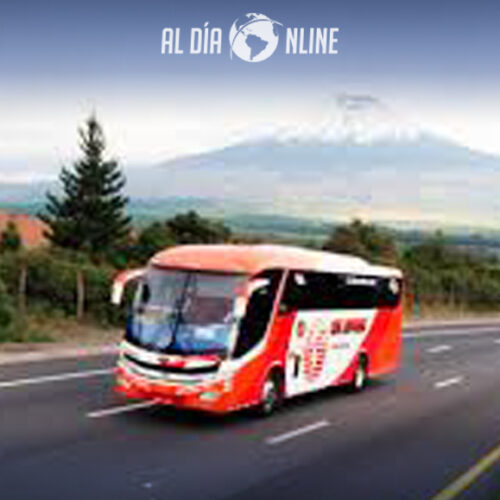 OBLIGATORIEDAD DE CARNET DE VACUNACIÓN PARA ACCEDER A BUSES INTER E INTRAPROVINCIALES DESDE EL MIÉRCOLES 12