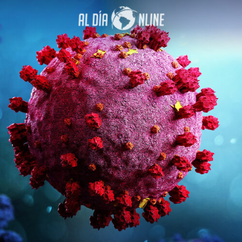 ECUADOR REGISTRA 68 CASOS DE ÓMICRON, GUAYAS Y PICHINCHA ENCABEZAN EL LISTADO DE LOS CONTAGIOS