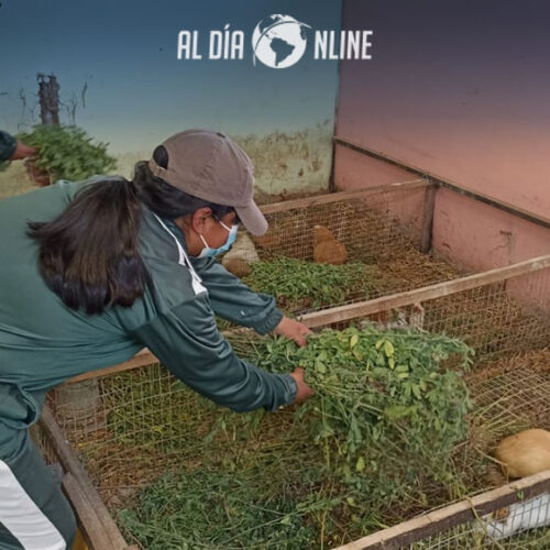 ESTUDIANTES DE BACHILLERATO TÉCNICO DE LATACUNGA REACTIVAN SUS ACTIVIDADES PRÁCTICAS