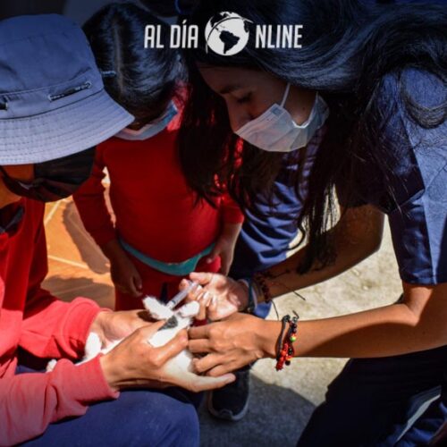 UTC LANZA LA CAMPAÑA DE VACUNACIÓN ANTIRRÁBICA PARA PERROS Y GATOS.(VIDEO)