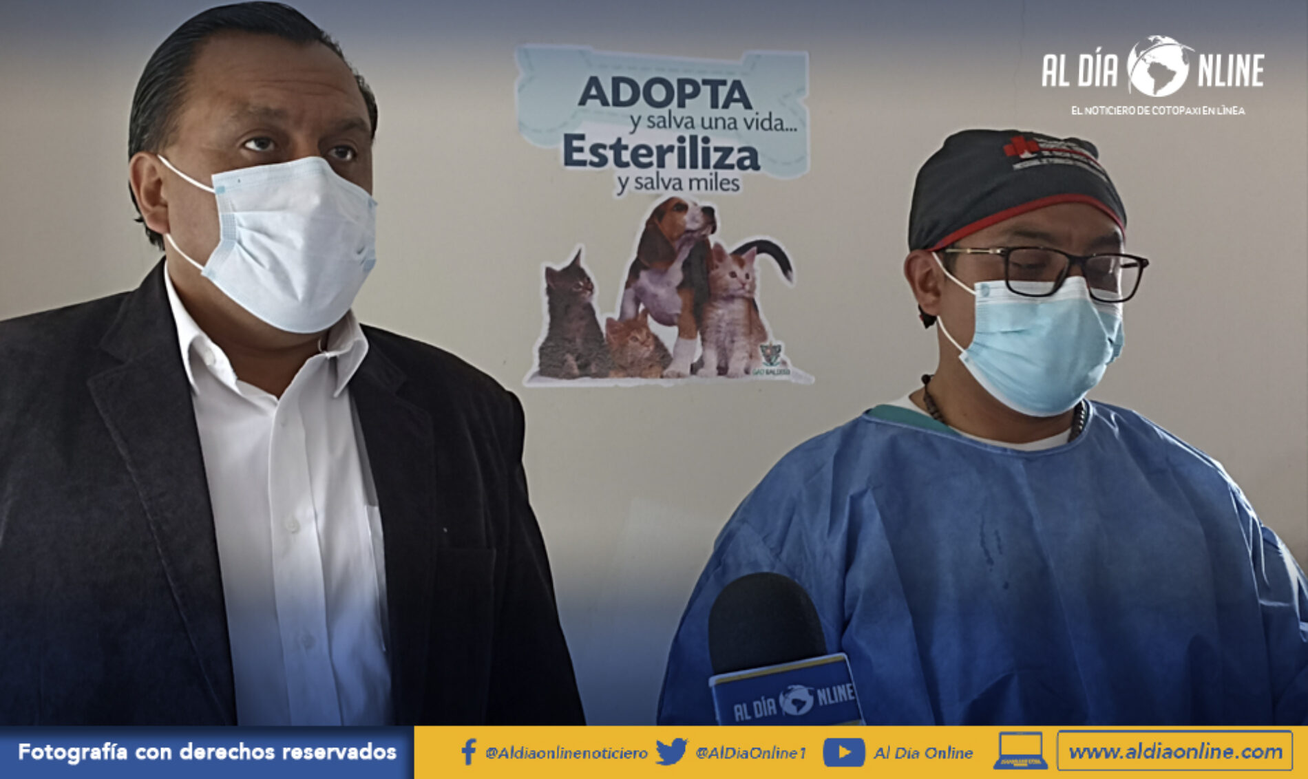 ALBERGUE CANINO DEL GAD SALCEDO CUMPLE CON PROGRAMAS DE ESTERILIZACIÓN, RESCATE Y ADOPCIÓN (VIDEO)