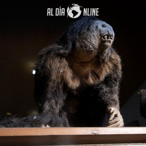 MUSEO DE LA ESCUELA ISIDRO AYORA ABRE SUS PUERTAS A LA CIUDADANÍA.(AUDIO)