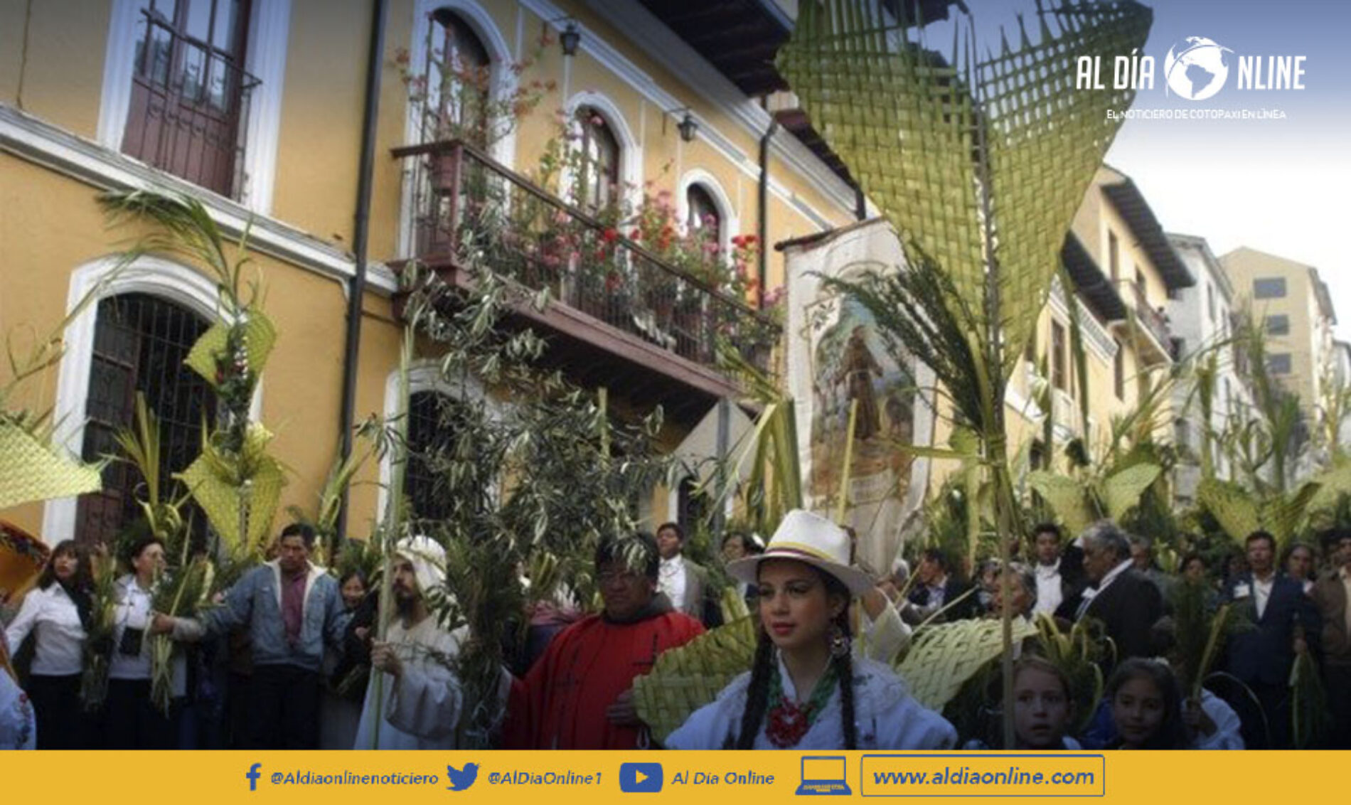 SE PROHIBE LA COMERCIALIZACIÓN DE LA PALMA DE CERA PARA DOMINGO DE RAMOS. (VIDEO)