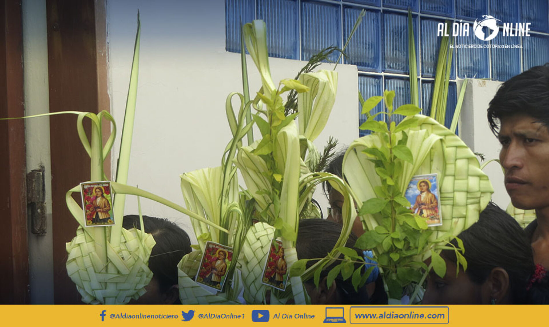 SE PROHIBE LA COMERCIALIZACIÓN DE LA PALMA DE CERA PARA DOMINGO DE RAMOS. (VIDEO)