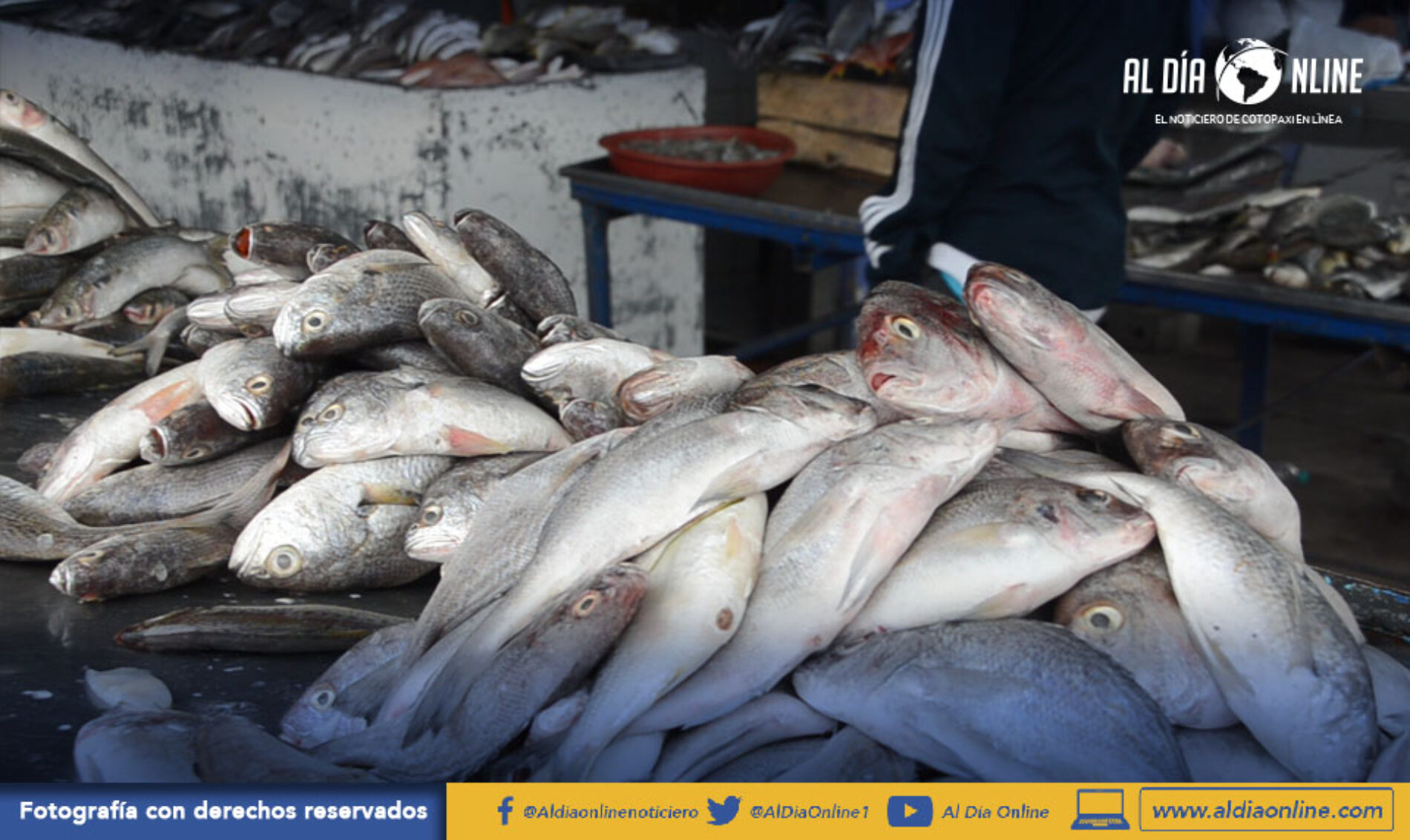 PESCADO SECO EN ESCASES, ANTE ESTO COMERCIANTES ASEGURAN NO SUBIR EL PRECIO DEL PRODUCTO.( VIDEO)