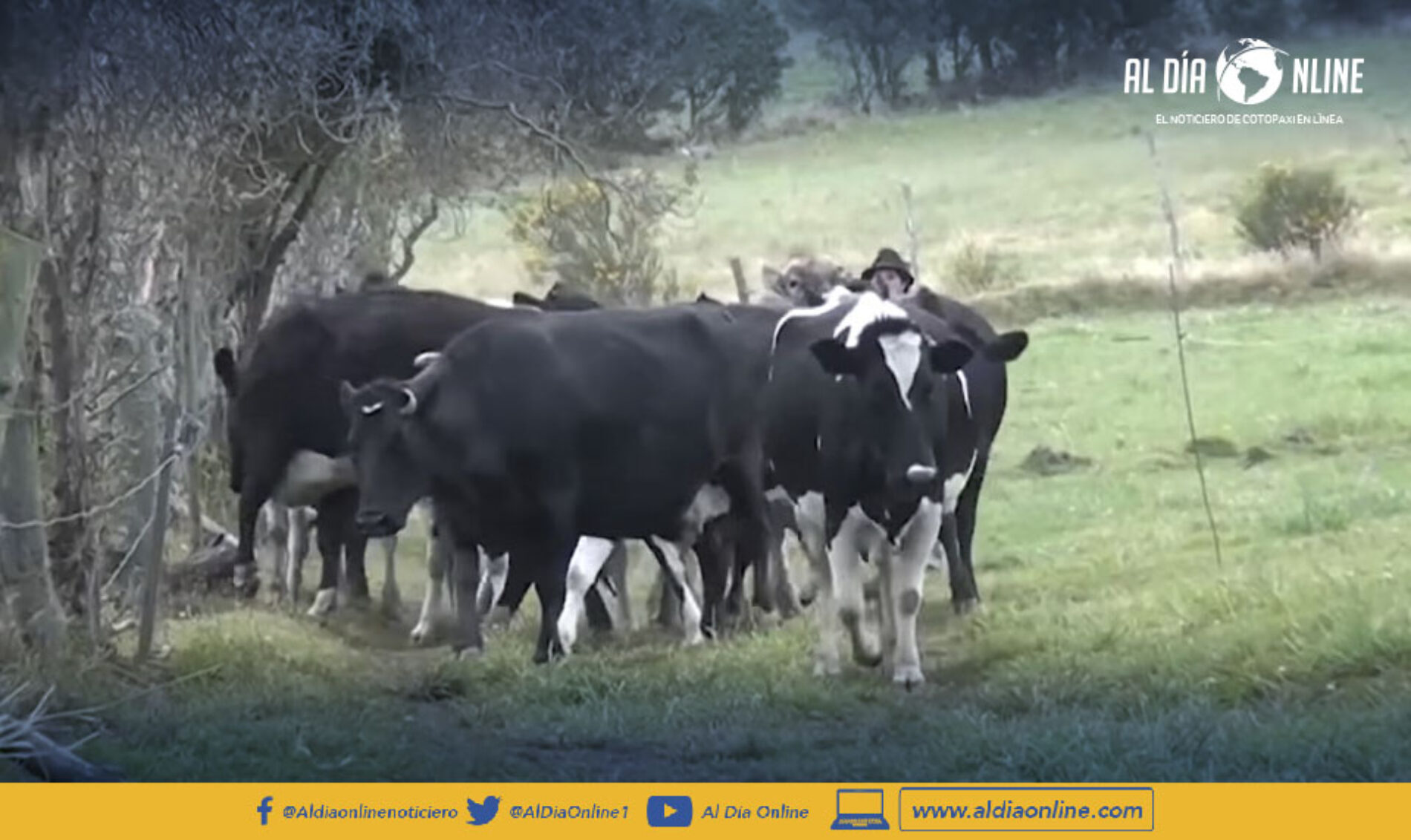 PREOCUPACIÓN EN SECTOR GANADERO POR POSIBLE IMPORTACIÓN DE PRODUCTOS DESDE URUGUAY.(VIDEO)