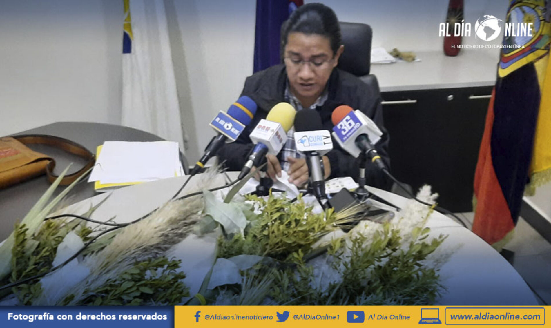 SE PROHIBE LA COMERCIALIZACIÓN DE LA PALMA DE CERA PARA DOMINGO DE RAMOS. (VIDEO)