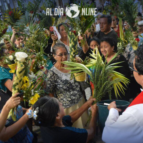 SE PROHIBE LA COMERCIALIZACIÓN DE LA PALMA DE CERA PARA DOMINGO DE RAMOS. (VIDEO)