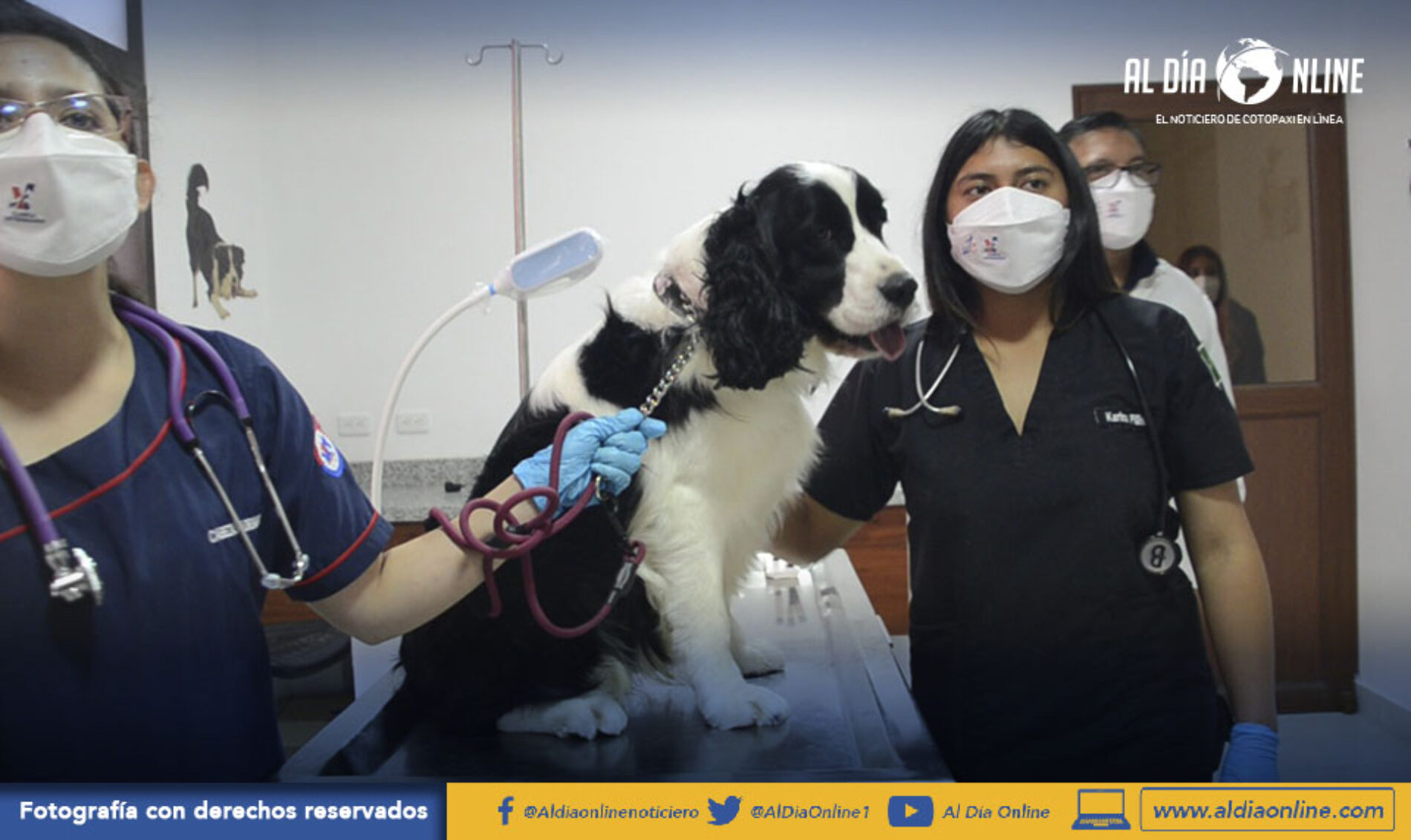 CON INVERSIÓN DE 1.6 MILLONES DE DÓLARES, UTC APERTURA DE CLÍNICA VETERINARIA EN CAMPUS SALACHE. (VIDEO)