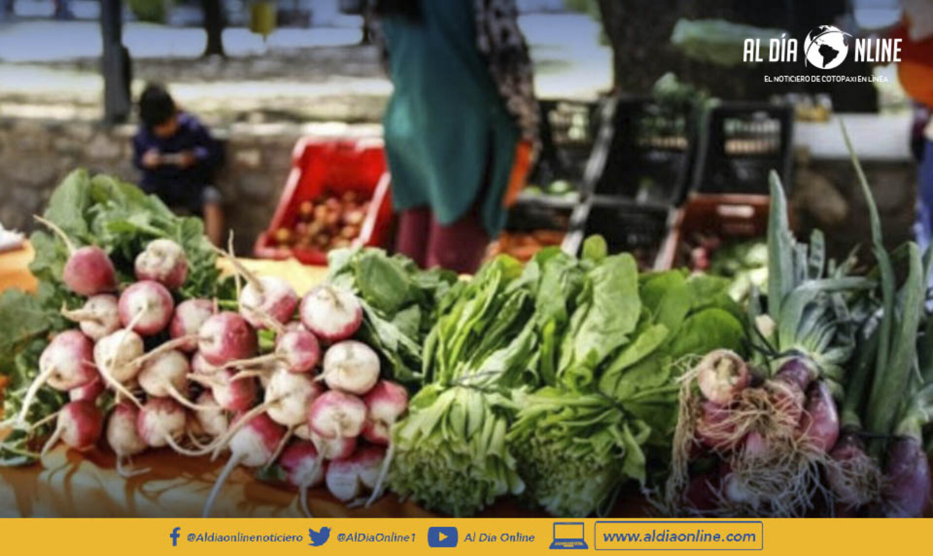 EXPO FERIA CAMPESINA SE DESARROLLARÁ ESTE 14 Y 15 DE MAYO EN LATACUNGA. (VIDEO)