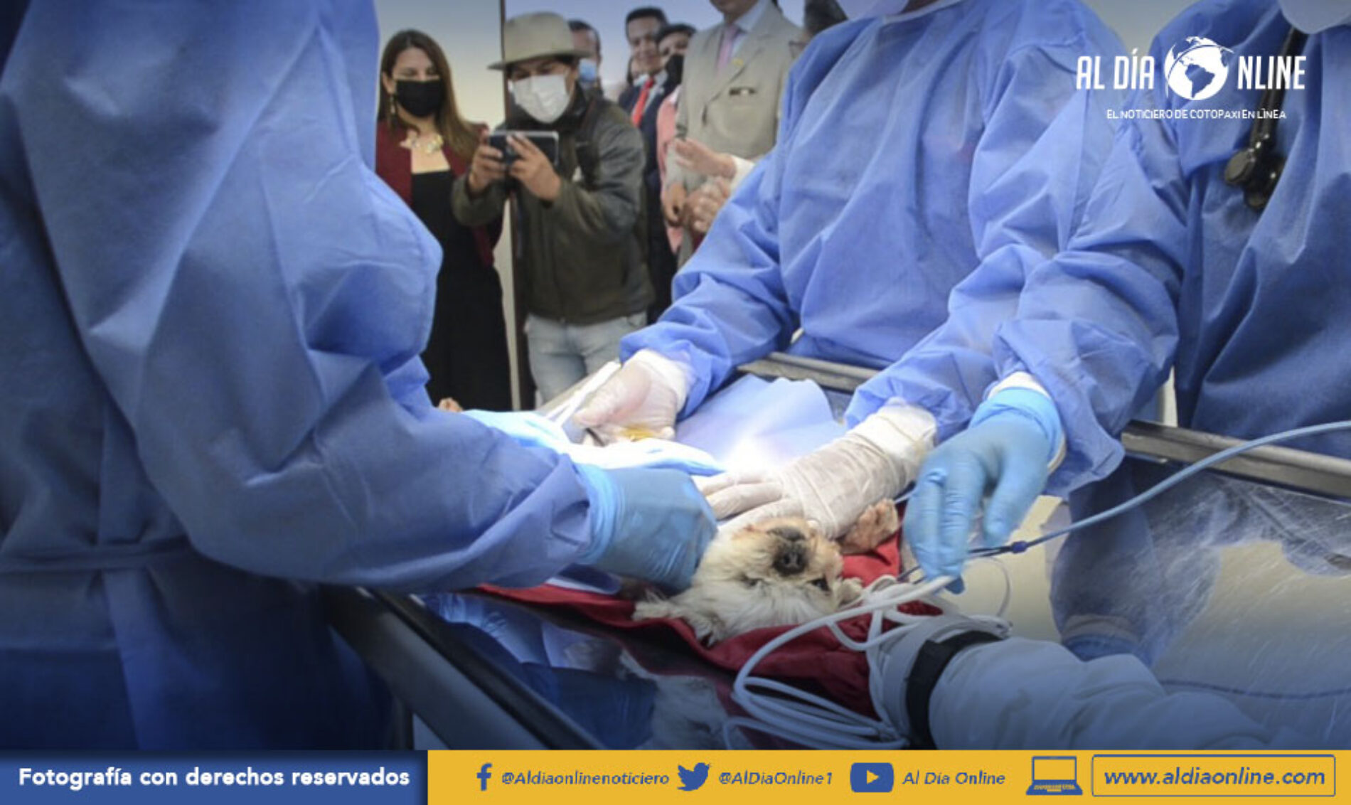 CON INVERSIÓN DE 1.6 MILLONES DE DÓLARES, UTC APERTURA DE CLÍNICA VETERINARIA EN CAMPUS SALACHE. (VIDEO)