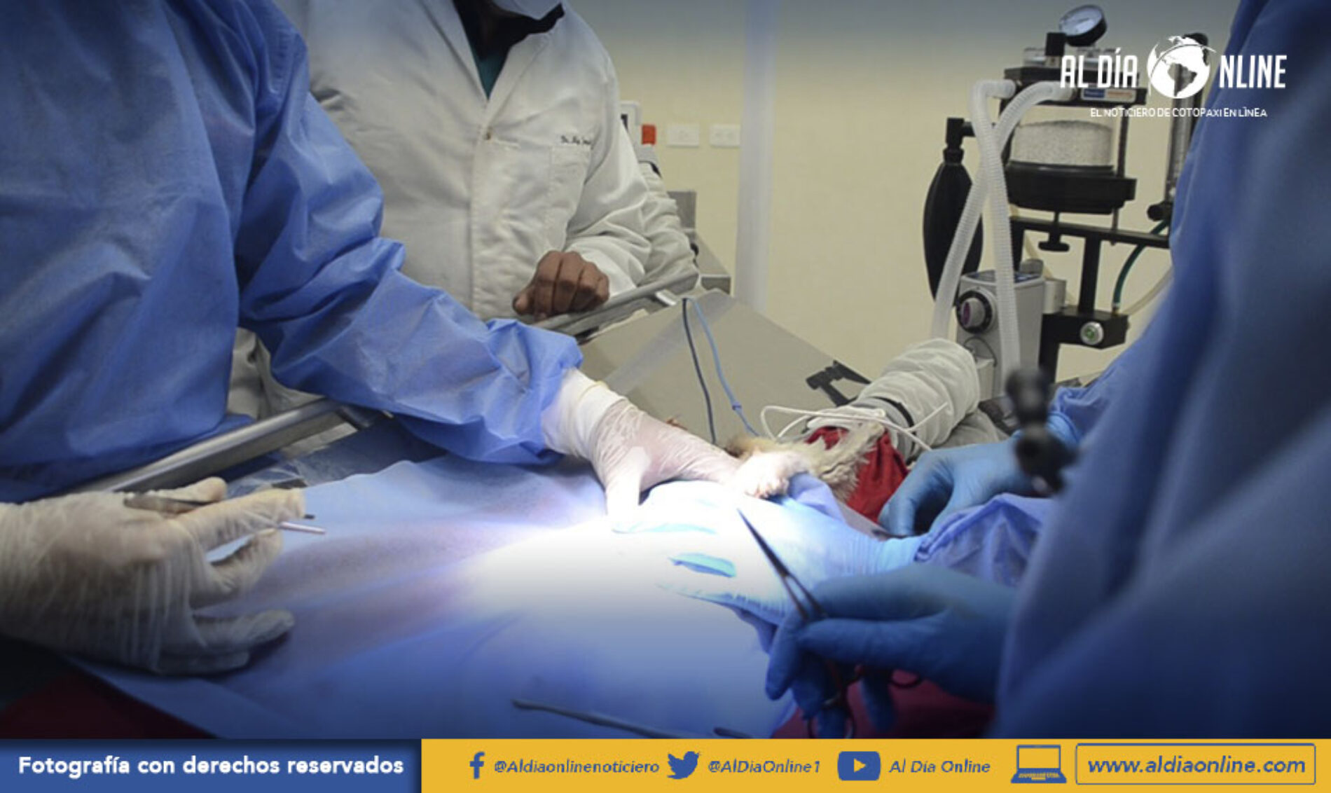 CON INVERSIÓN DE 1.6 MILLONES DE DÓLARES, UTC APERTURA DE CLÍNICA VETERINARIA EN CAMPUS SALACHE. (VIDEO)