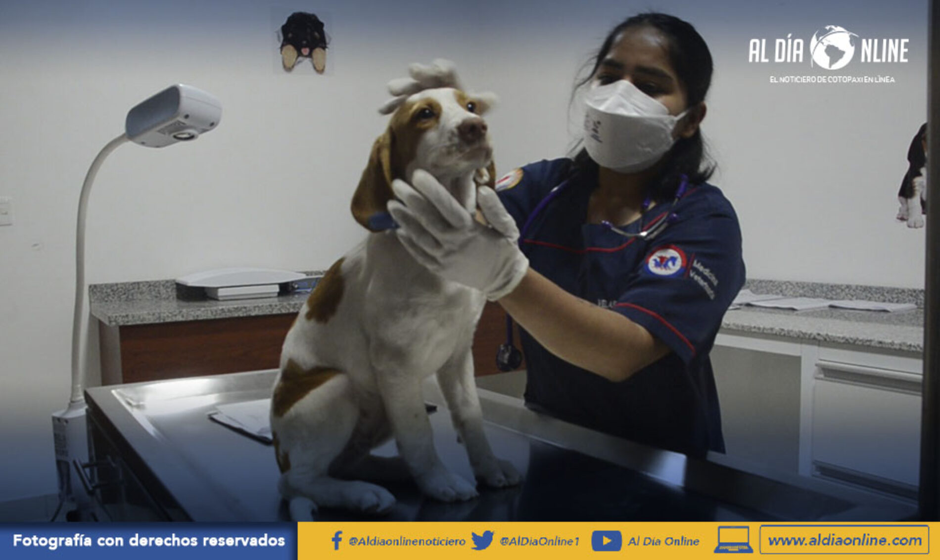 CON INVERSIÓN DE 1.6 MILLONES DE DÓLARES, UTC APERTURA DE CLÍNICA VETERINARIA EN CAMPUS SALACHE. (VIDEO)
