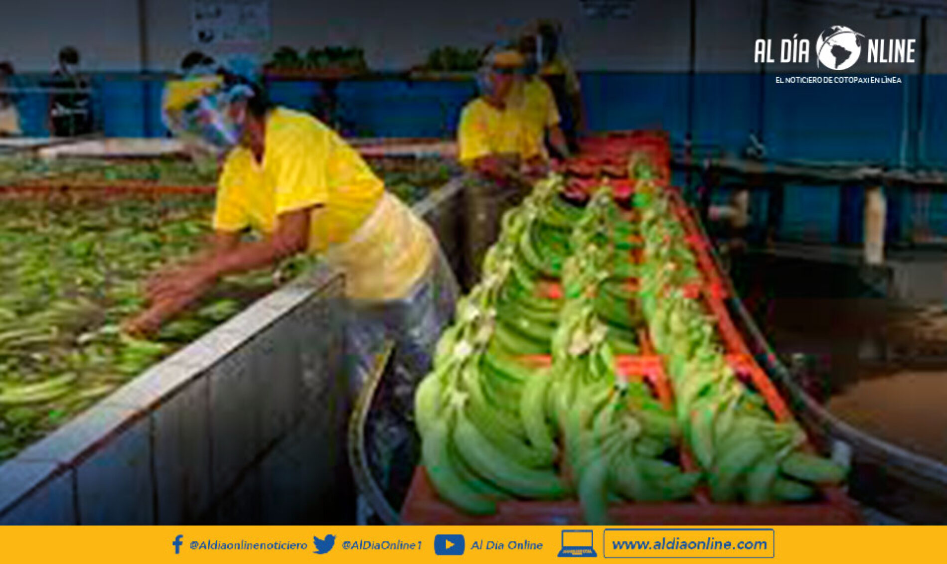 EXPORTADORES PIDEN ACTIVAR CONVOYES PARA TRASLADO DE PRODUCTOS.