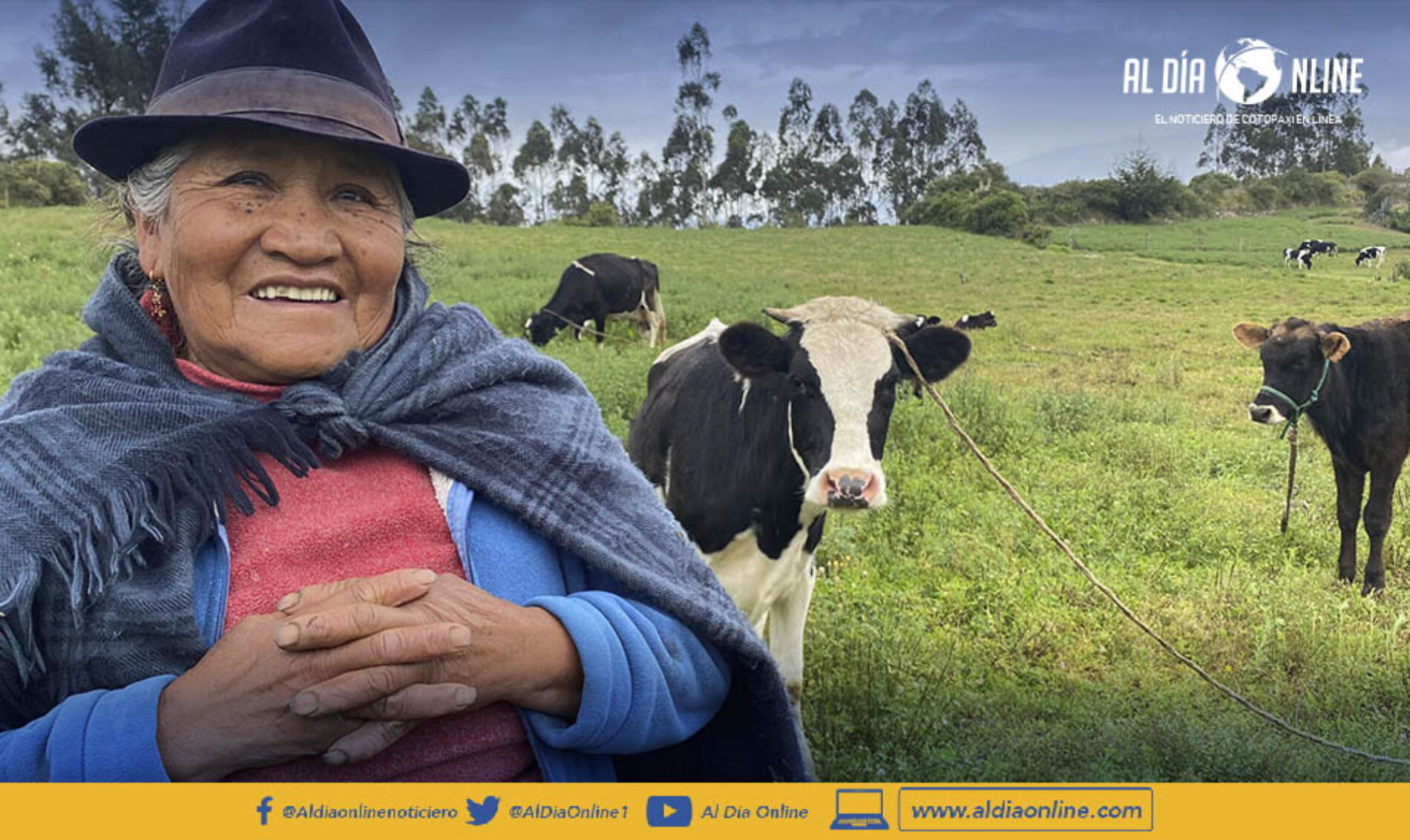 CAMPAÑAS GRATUITAS DE INSEMINACIÓN ARTIFICIAL EJECUTA EL MAG COTOPAXI. (VIDEO)