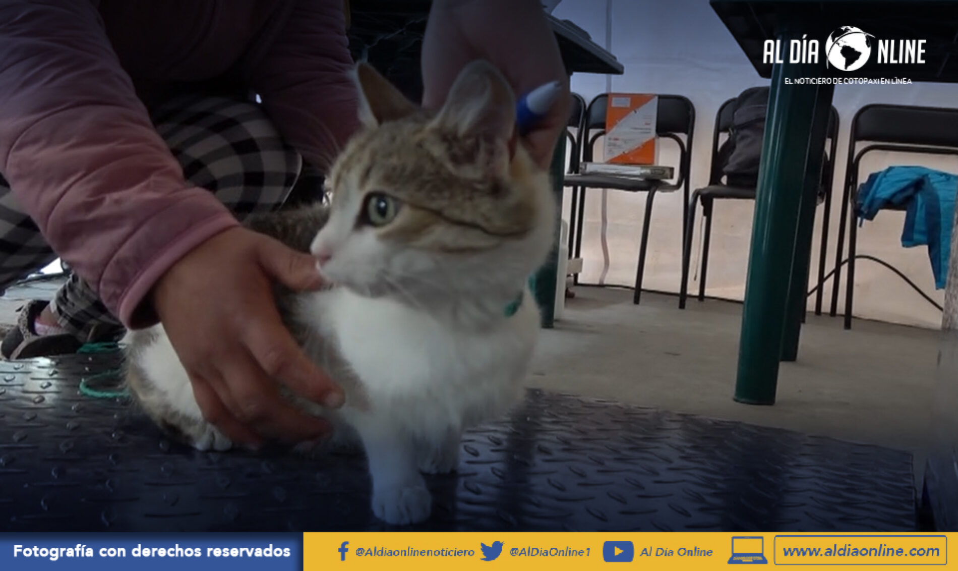 SERVICIO DE AGUA POTABLE EN AV. AMAZONAS AL 100% PESE  A TRABAJOS DE REGENERACIÓN URBANA (VIDEO)