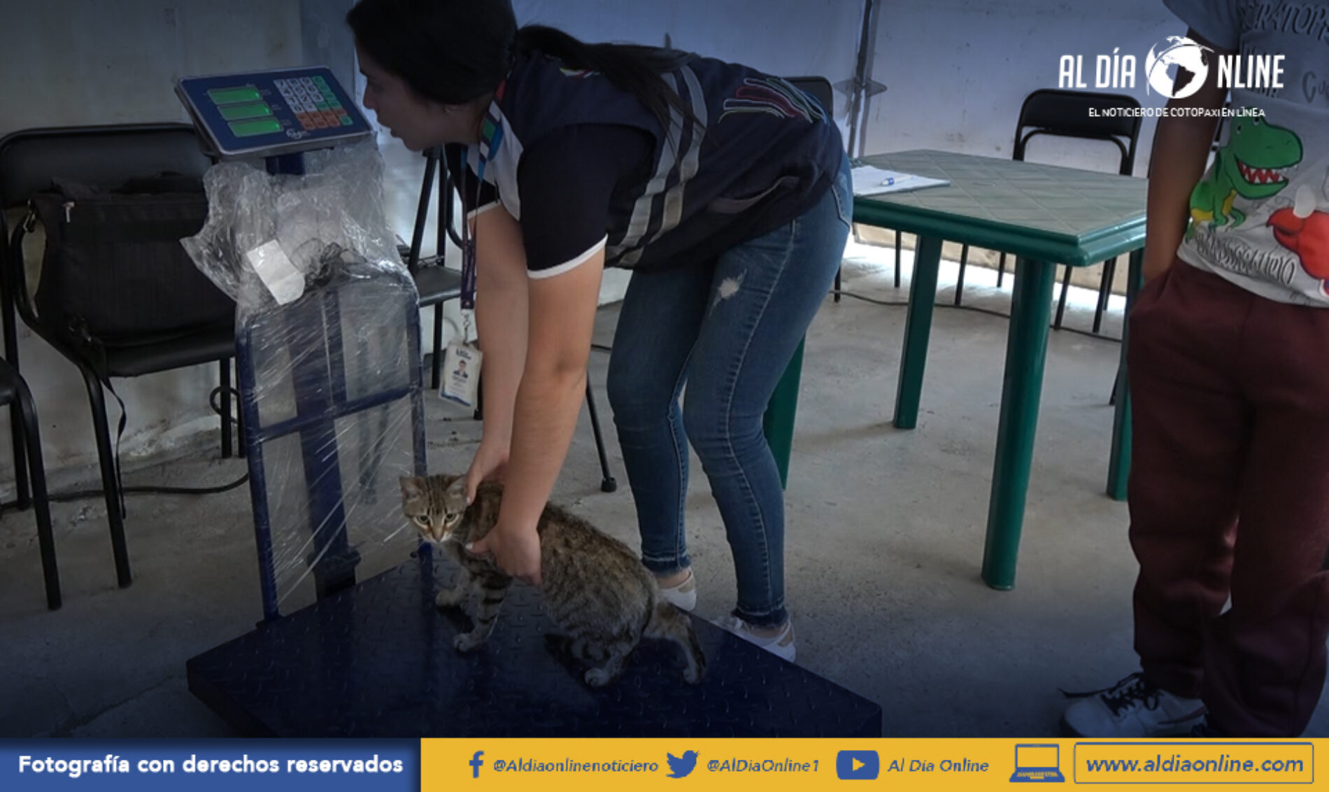 CAMPAÑA PERMANENTE DE ESTERILIZACIÓN GRATUITA DE FAUNA URBANA APLICA MUNICIPALIDAD DE SAQUISILÍ (VIDEO)