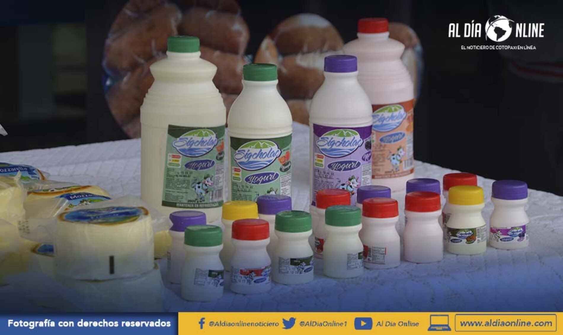 MAG COTOPAXI ORGANIZÓ FERIA LÁCTEA COMO ALTERNATIVA DE REACTIVACIÓN ECONÓMICA. (VIDEO)