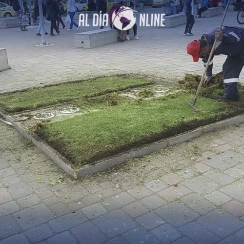 MANTENIMIENTO DE ÁREAS VERDES SE RETOMA EN LATACUNGA. (VIDEO)