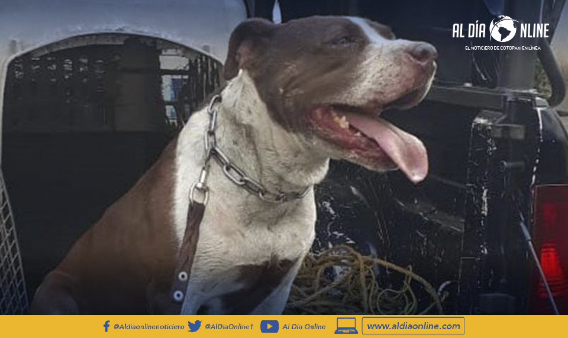 HOMBRE DENUNCIA AGRESIÓN CANINA SOLICITA ATENCIÓN A LAS AUTORIDADES. (VIDEO)