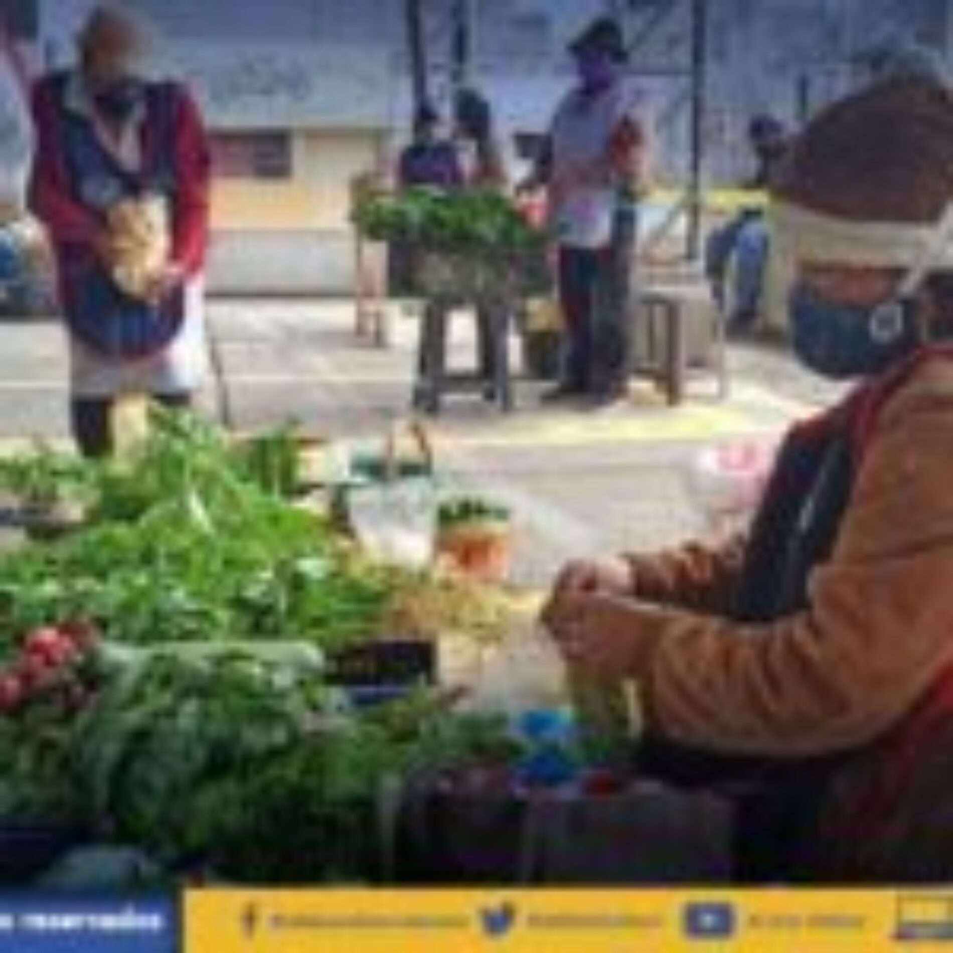 SE FORTALECE FERIA DE LA MATA A LA OLLA EN EL SECTOR DE LA LAGUNA. (VIDEO)