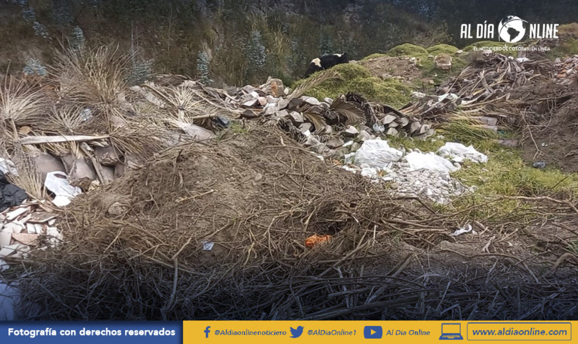 VÍA A PALOPO CONVERTIDO EN BASURERO MORADORES CLAMAN SOLUCIÓN. (VIDEO)