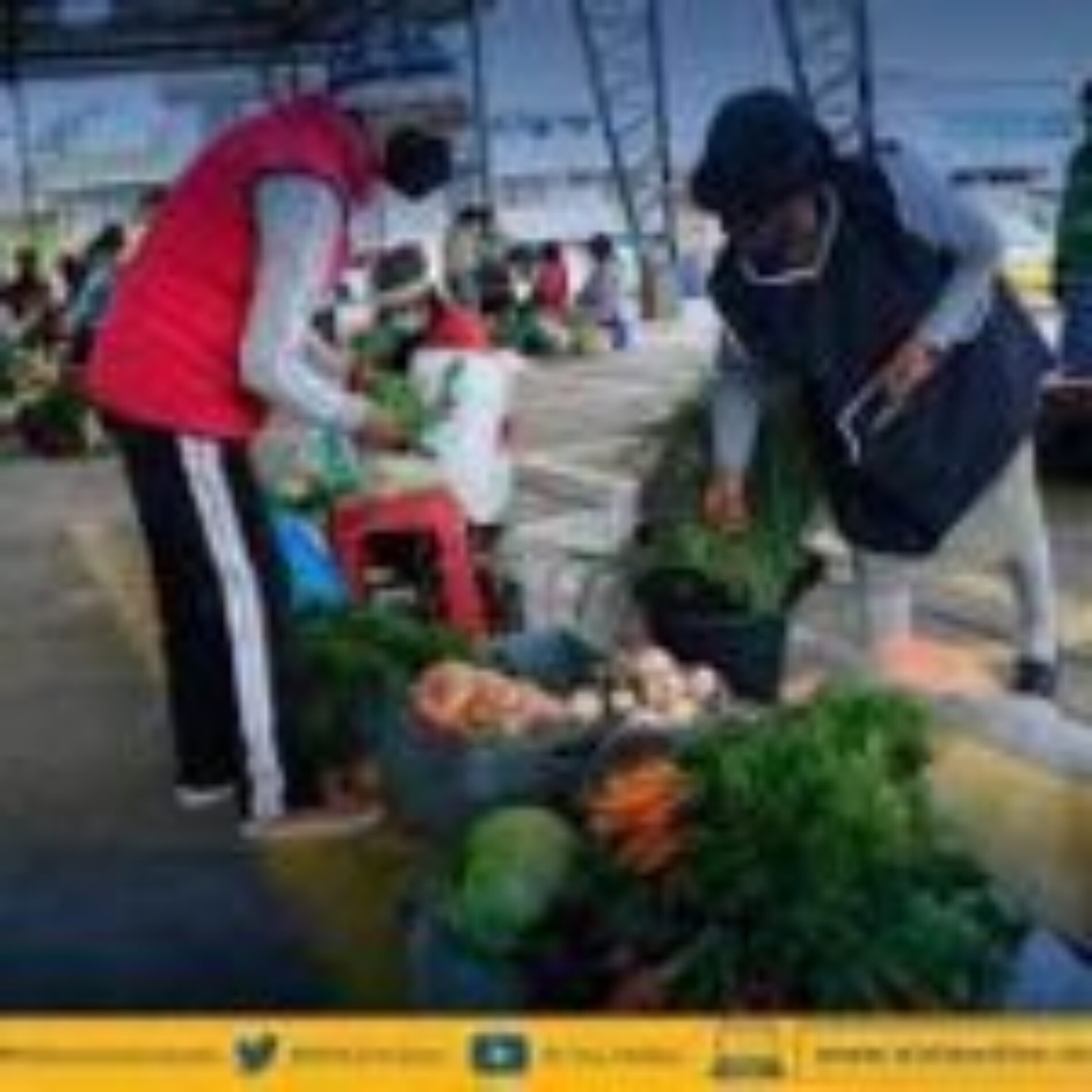 “DE LA MATA A LA OLLA” PROYECTO QUE FOMENTA LA ECONOMÍA DE LOS PRODUCTORES.(VIDEO)