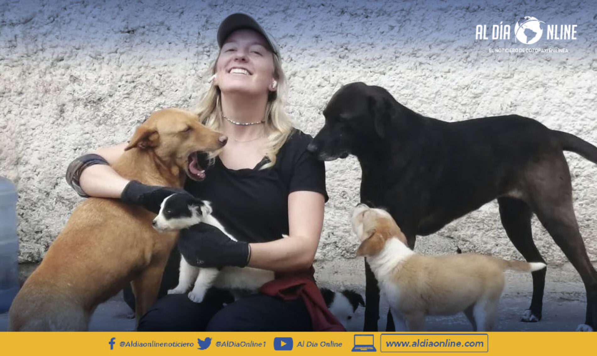 FUNDACIÓN SABIA RECIBIÓ DOTACIÓN DE ALIMENTOS PARA PERROS. (VIDEO)