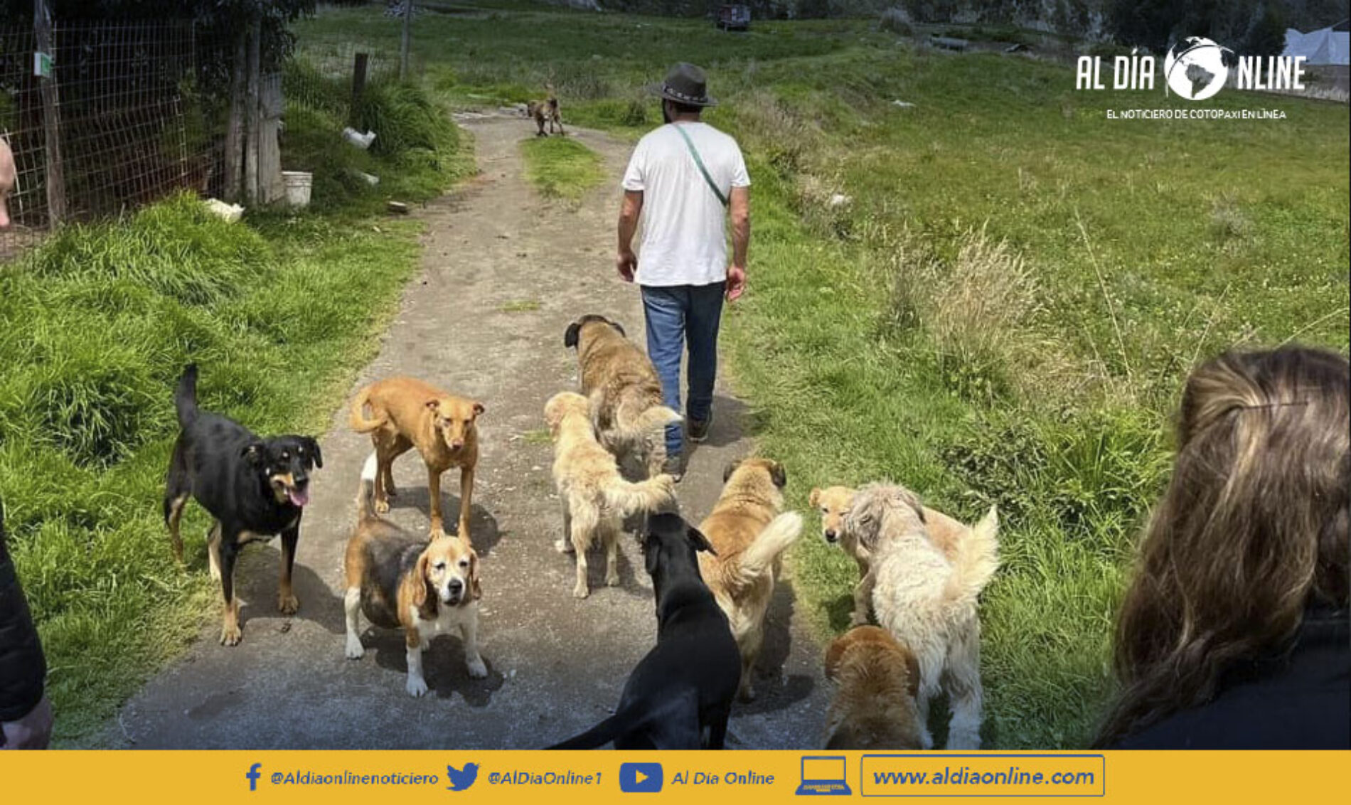 FUNDACIÓN SABIA RECIBIÓ DOTACIÓN DE ALIMENTOS PARA PERROS. (VIDEO)