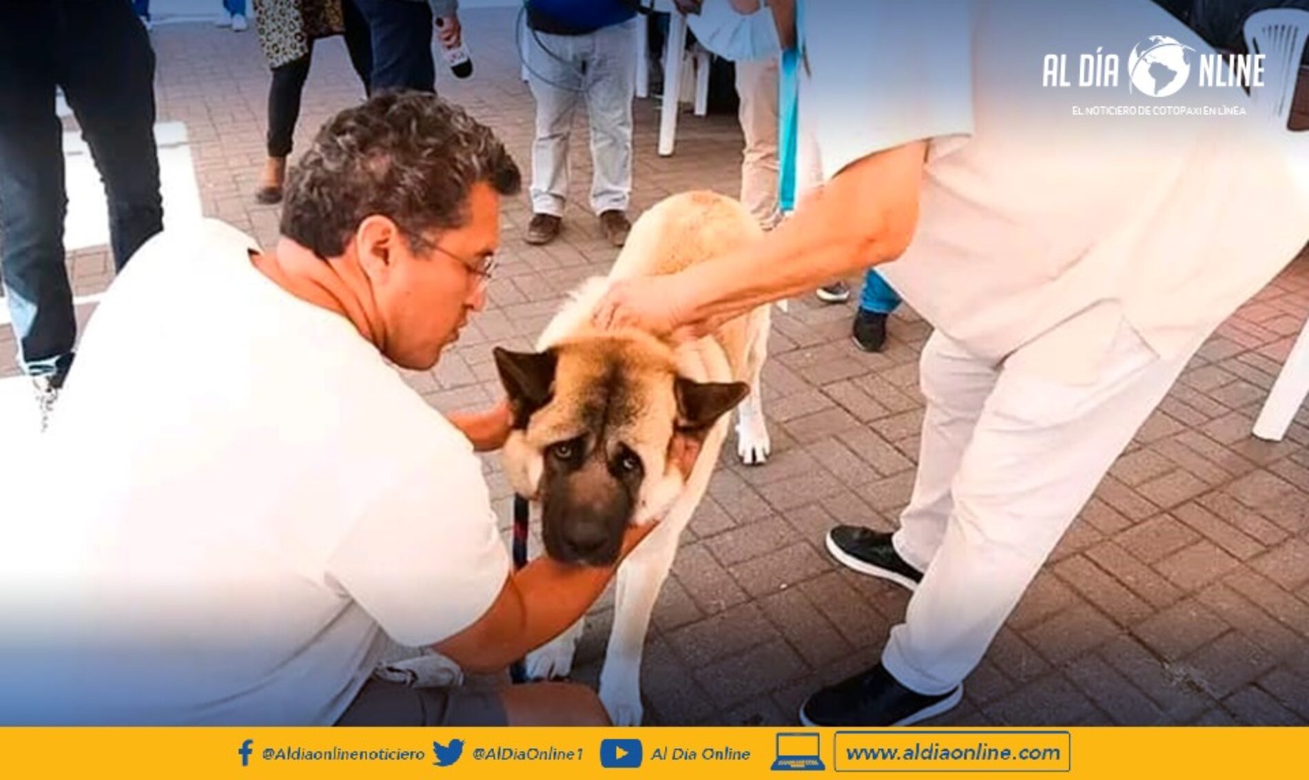 CAMPAÑA ANTIRRÁBICA ARRANCA ESTE 28 DE SEPTIEMBRE A NIVEL NACIONAL.(VIDEO)